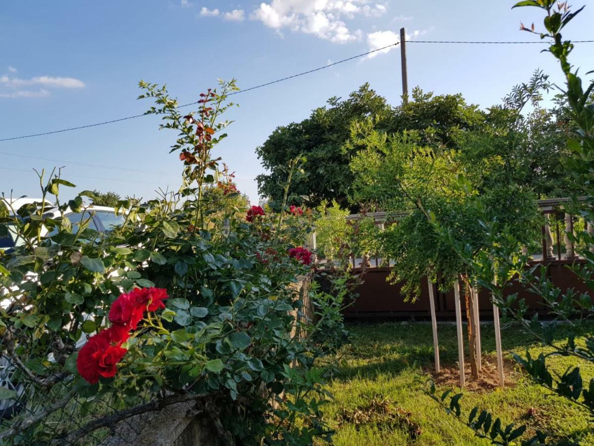 Ferienwohnung Kuca Za Odmor Luca Posedarje Exterior foto